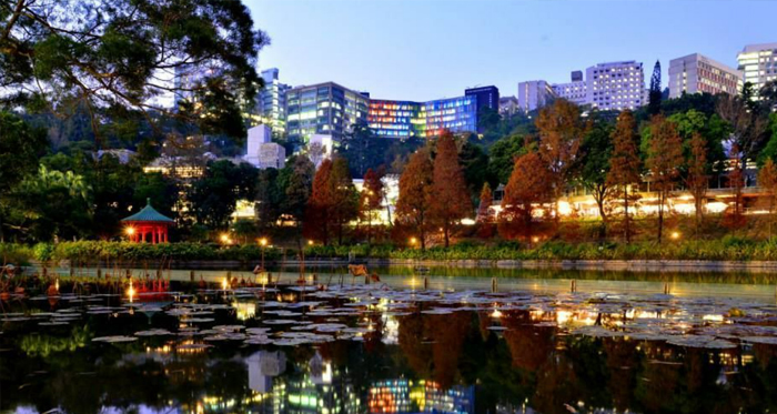 中文大学10.jpg