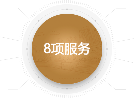 8大项目(新西兰）